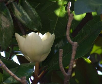 Прикрепленное изображение: 002.jpg